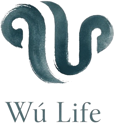 Wu Life Logo Image of Blue Paint Brush Wu Life Logo